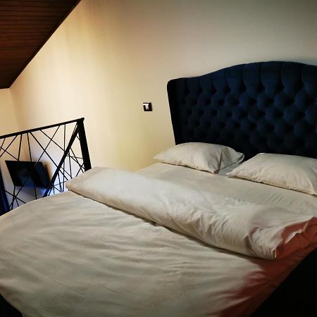 Kopel Haus - Studio - Self Acces Cod Location Balotesti Εξωτερικό φωτογραφία