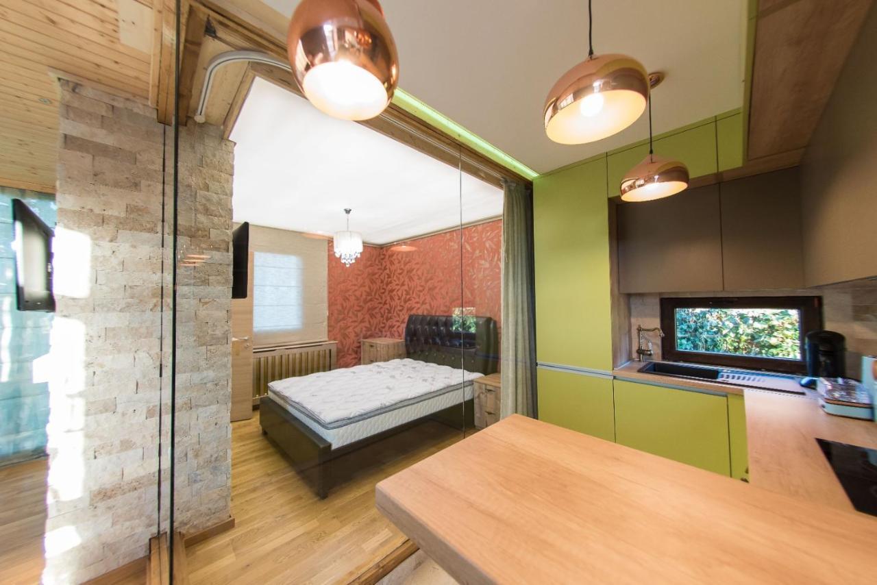 Kopel Haus - Studio - Self Acces Cod Location Balotesti Εξωτερικό φωτογραφία