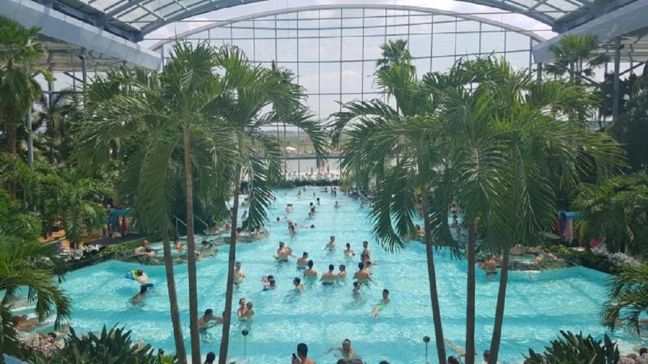 Kopel Haus - Studio - Self Acces Cod Location Balotesti Εξωτερικό φωτογραφία