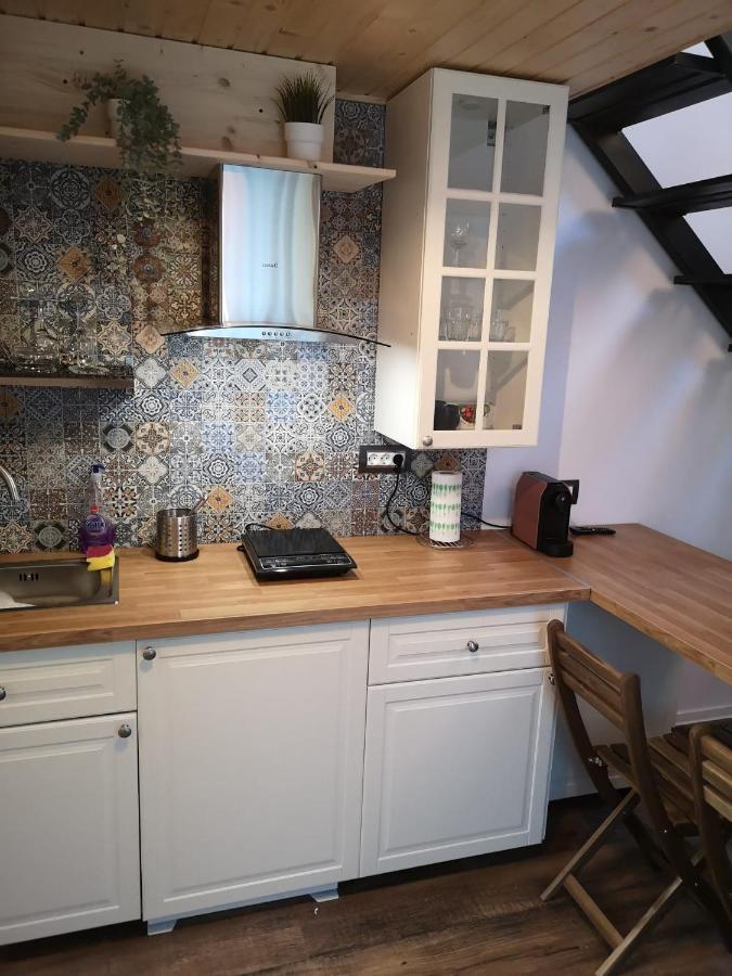 Kopel Haus - Studio - Self Acces Cod Location Balotesti Εξωτερικό φωτογραφία