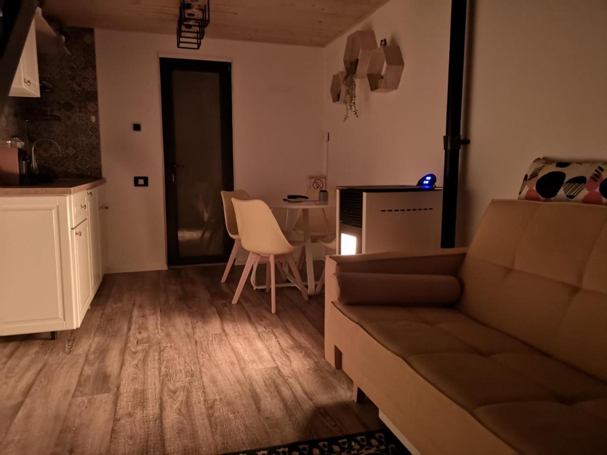 Kopel Haus - Studio - Self Acces Cod Location Balotesti Εξωτερικό φωτογραφία