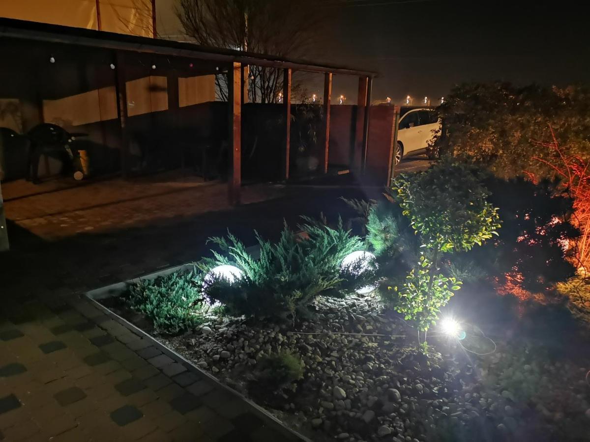Kopel Haus - Studio - Self Acces Cod Location Balotesti Εξωτερικό φωτογραφία