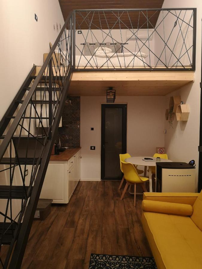 Kopel Haus - Studio - Self Acces Cod Location Balotesti Εξωτερικό φωτογραφία