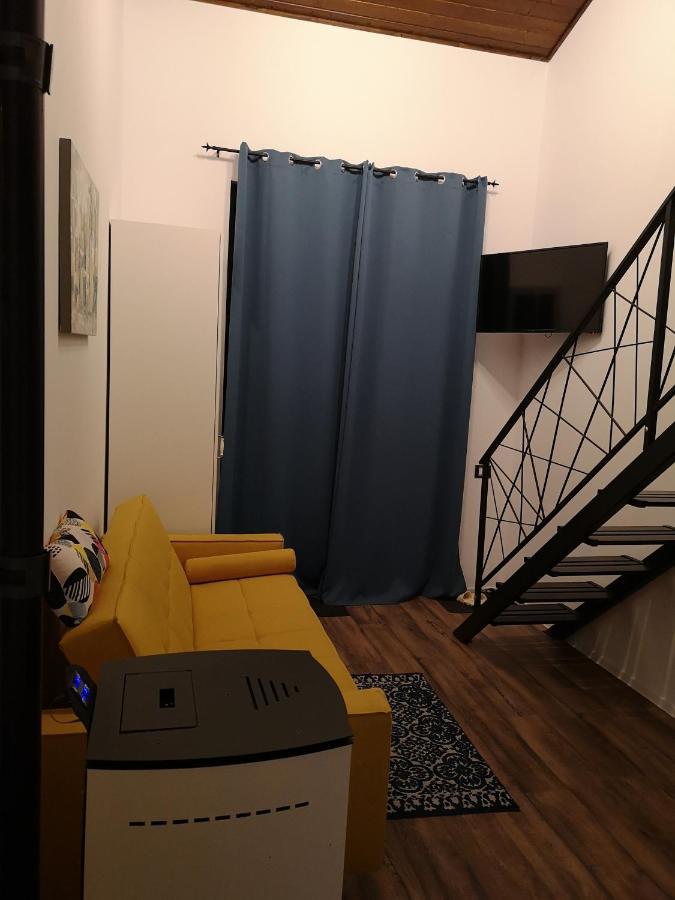 Kopel Haus - Studio - Self Acces Cod Location Balotesti Εξωτερικό φωτογραφία