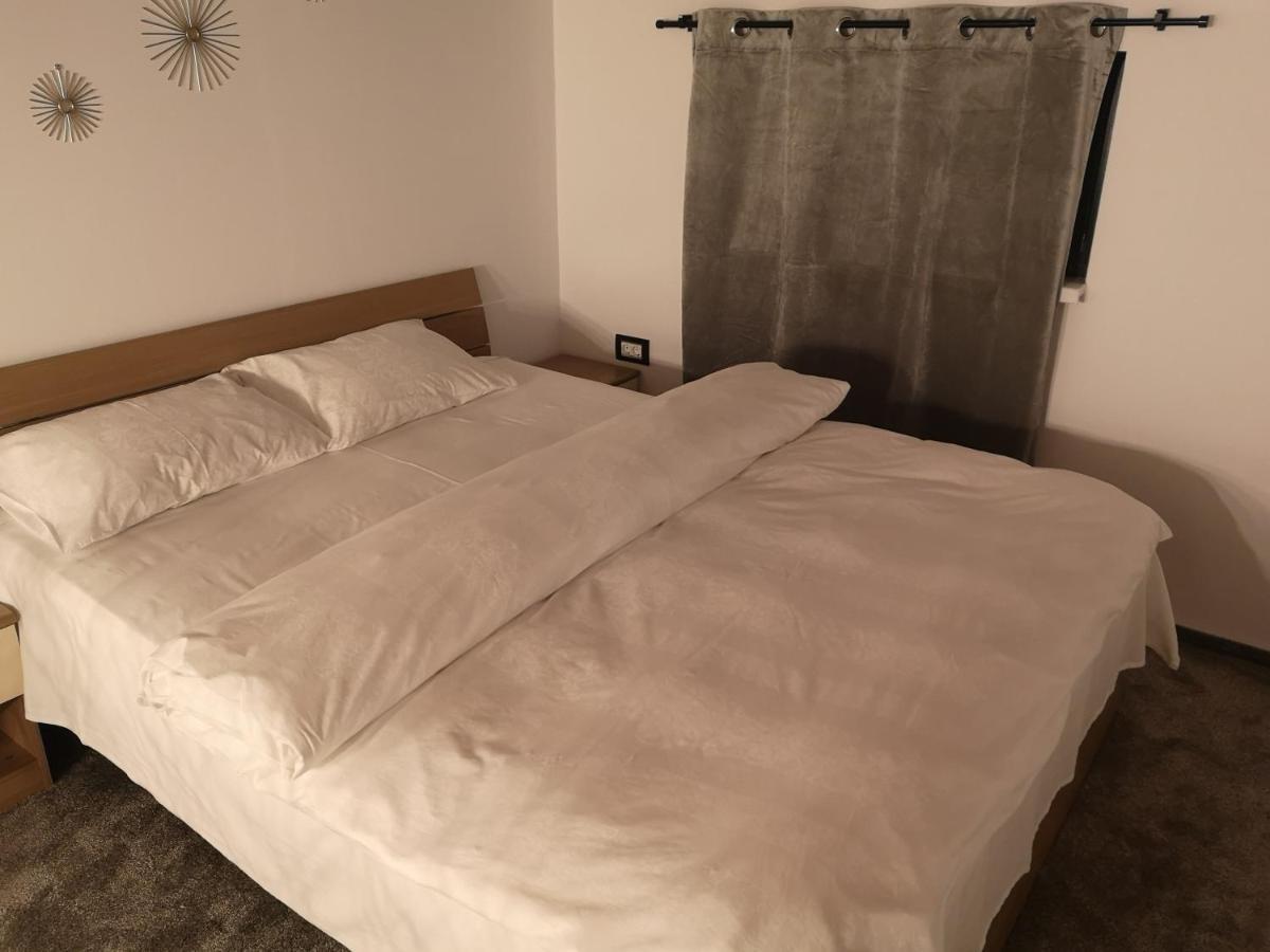 Kopel Haus - Studio - Self Acces Cod Location Balotesti Εξωτερικό φωτογραφία