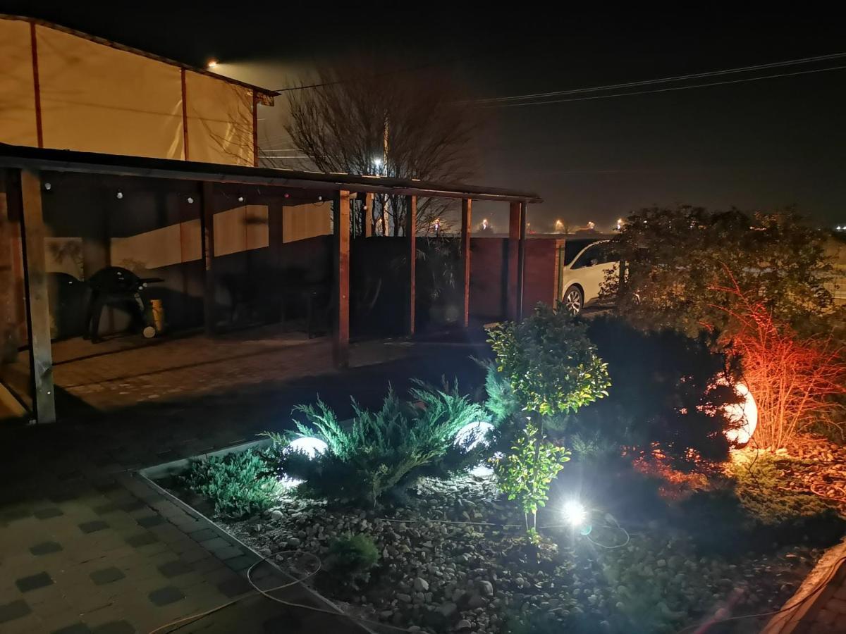 Kopel Haus - Studio - Self Acces Cod Location Balotesti Εξωτερικό φωτογραφία