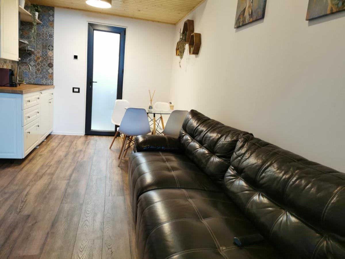 Kopel Haus - Studio - Self Acces Cod Location Balotesti Εξωτερικό φωτογραφία